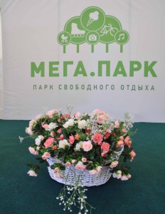 МЕГА ПАРК _ _ DSC_0016