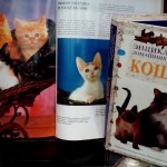 Книжно-иллюстративная выставка Всемирный День кошек_3
