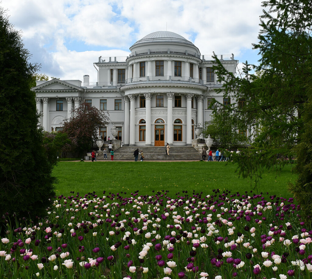 DSC_5701 ТЮЛЬПАНЫ